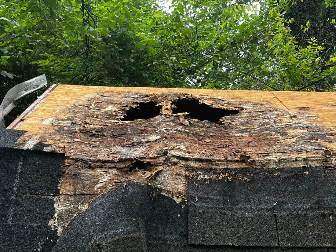 Rotted roof decking at the eave, exposed during a tear-off in Middle Tennessee